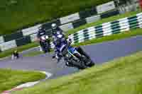 cadwell-no-limits-trackday;cadwell-park;cadwell-park-photographs;cadwell-trackday-photographs;enduro-digital-images;event-digital-images;eventdigitalimages;no-limits-trackdays;peter-wileman-photography;racing-digital-images;trackday-digital-images;trackday-photos
